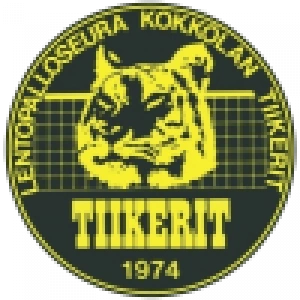 Тиикерит