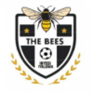 Бис