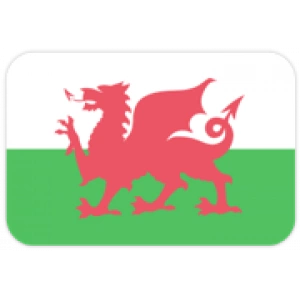 Уэльс U16