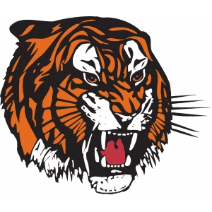 Медисин-Хат Тайгерс