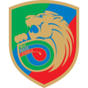 Медзь