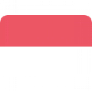Индонезия U17