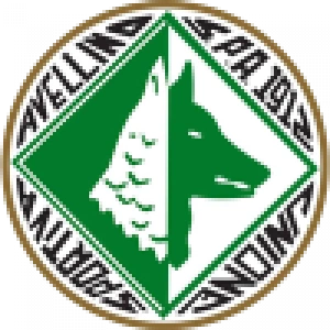 Авеллино U19