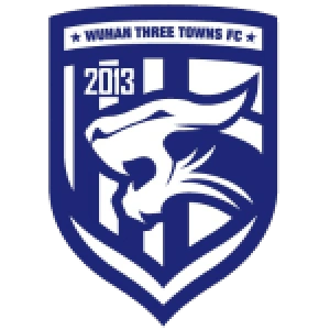 Ухань Фри Таунс