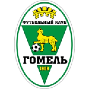 Гомель 2