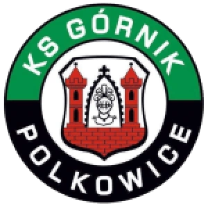 Полковице