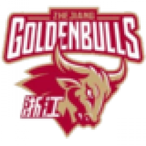 Чжэцзян Буллз