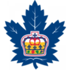 Торонто Марлис