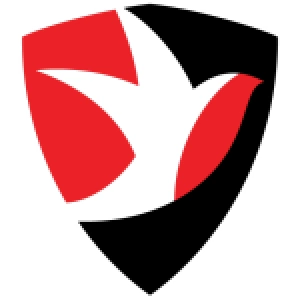 Челтенхэм Таун