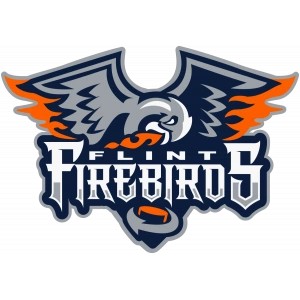 Флинт Файрбердс