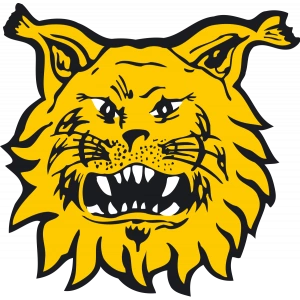 Ильвес Тампере