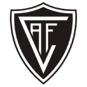 Академику де Визеу