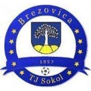 Сокол Брезовица
