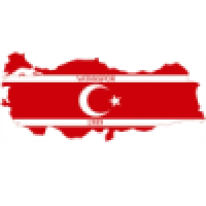 Vatanspor