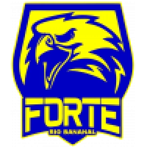 Форте до 20