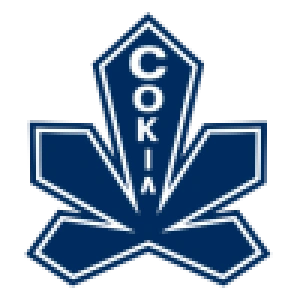 Сокол Киев