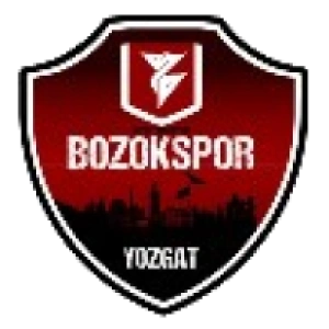 Йозгат Бозокспор